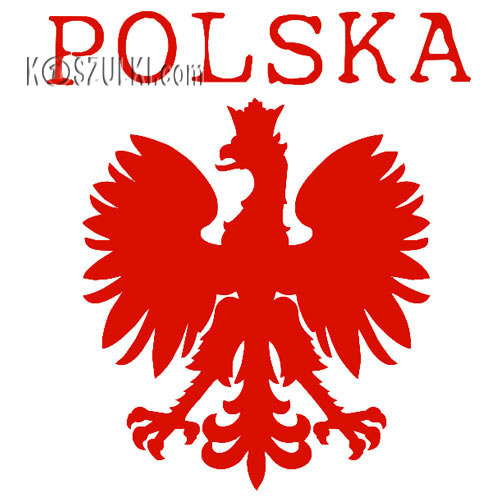 Bluza z kapturem dziecięca Polska mały orzeł 
