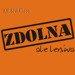 t-shirt Zdolna